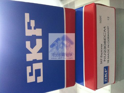 Skf Bearing